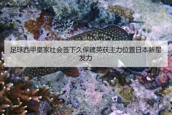 zu-qiu-xi-jia-huang-jia-she-hui-qian-xia-jiu-bao-jian-ying-huo-zhu-li-wei-zhi-ri-ben-xin-xing-fa-li-2-760.jpg