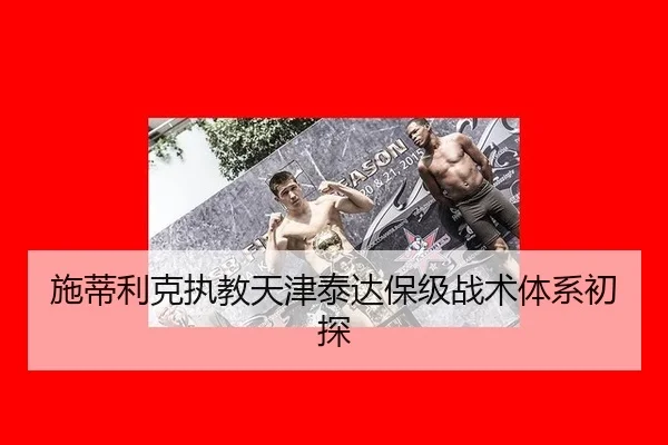 施蒂利克执教天津泰达保级战术体系初探